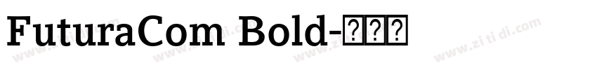 FuturaCom Bold字体转换
